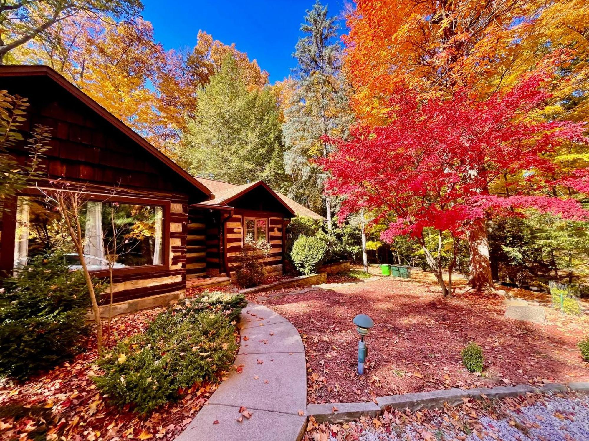 Log Cabin - Natures Oasis - Fire Pit & Gazebo Cleveland Bagian luar foto
