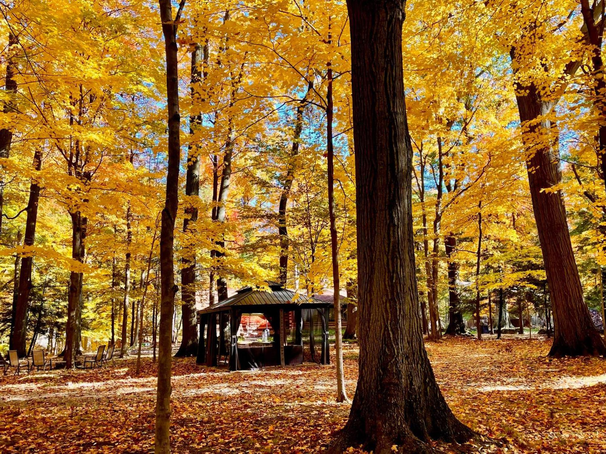 Log Cabin - Natures Oasis - Fire Pit & Gazebo Cleveland Bagian luar foto