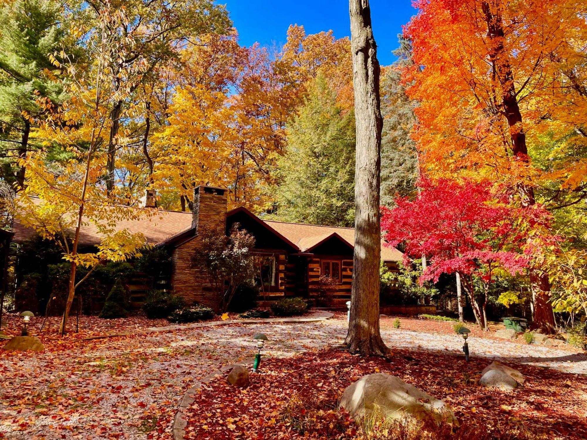 Log Cabin - Natures Oasis - Fire Pit & Gazebo Cleveland Bagian luar foto